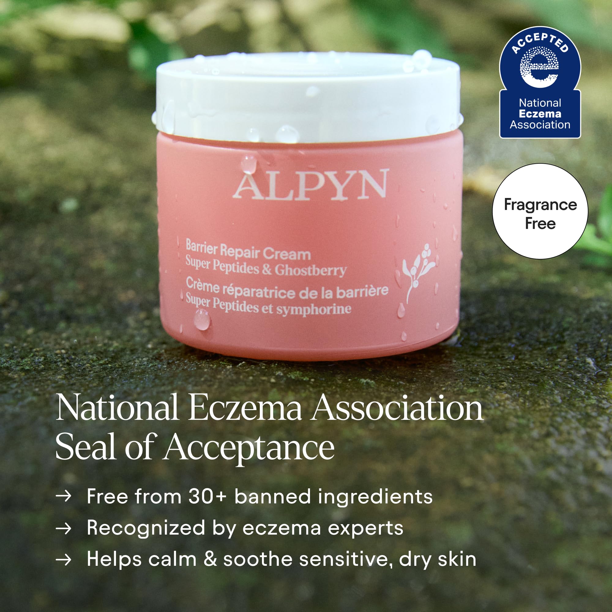 Alpyn label close-up revealing ingredient highlights and transparency