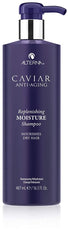 Alterna bottle pump and cap detail, highlights easy dispensing and travel readiness