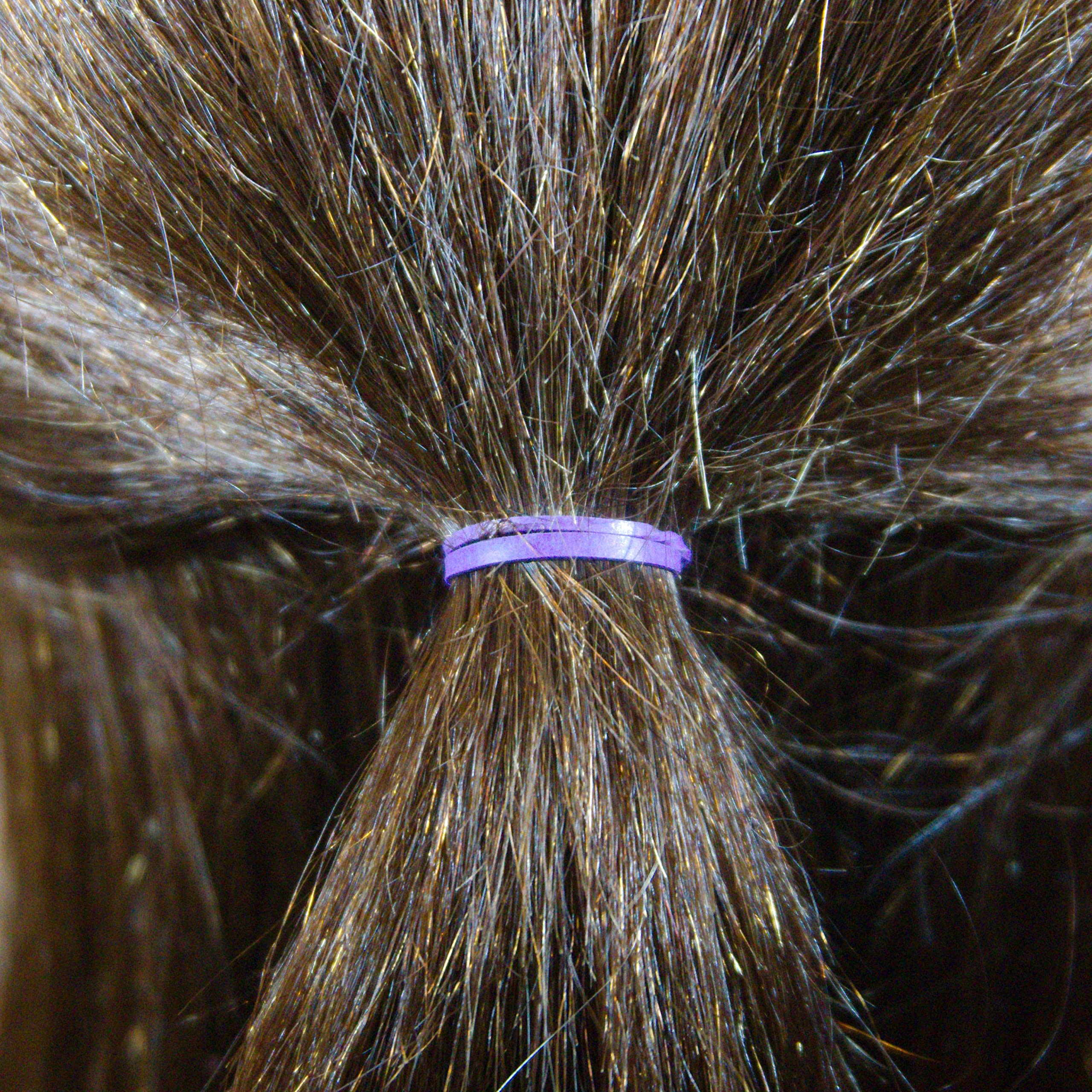 Amelia Beauty in-hair ponytail demonstrating neat small-section control and grip