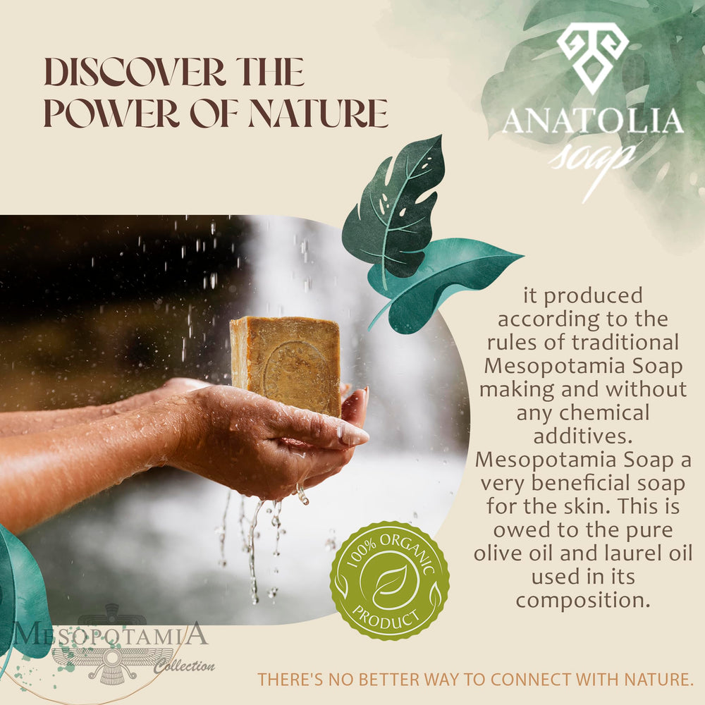 Anatolia Soap unboxed two bars showing product contents and ready-to-use benefit