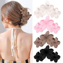 ANBALA front packaging showing four flower clips and clear benefit of variety