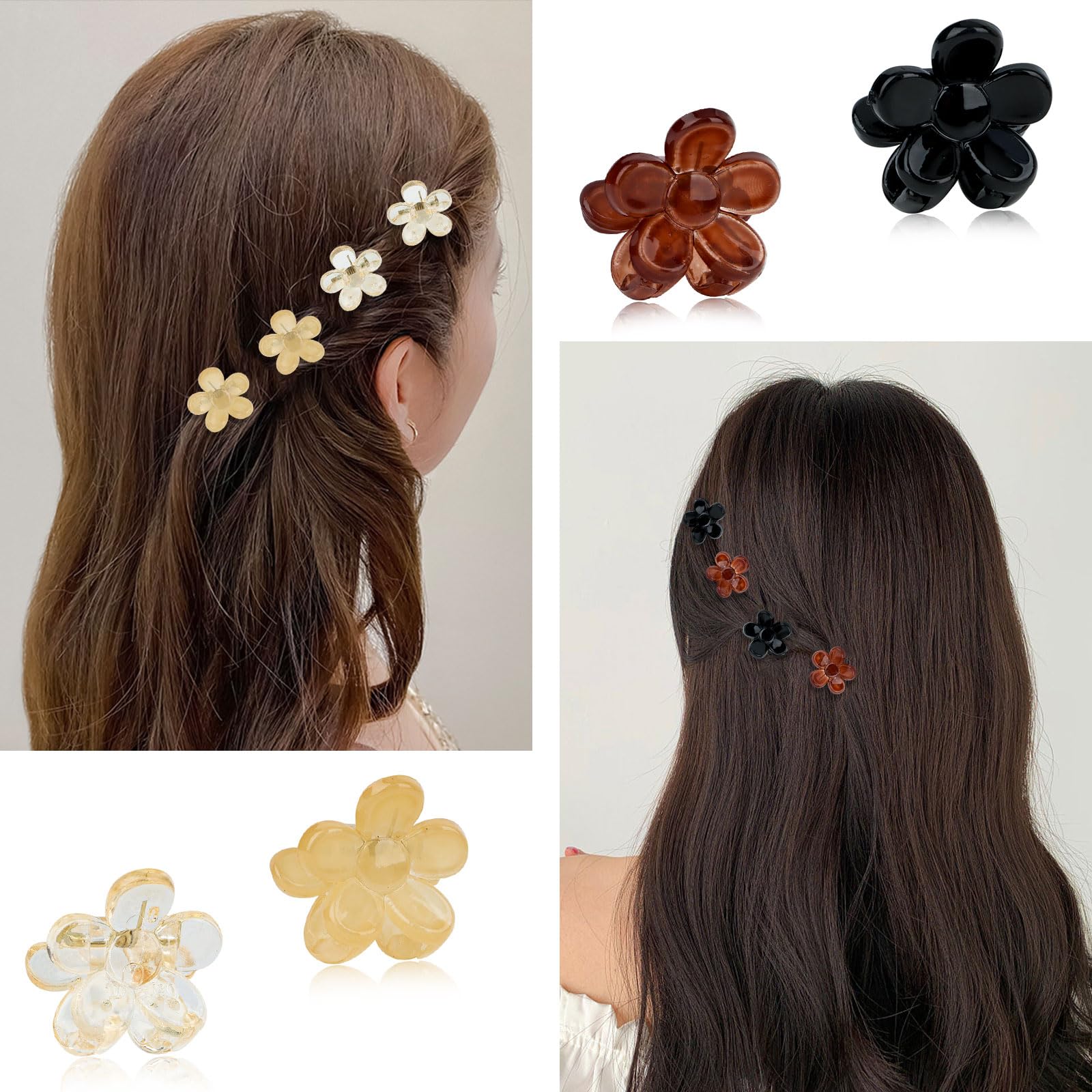 ANBALA 20-piece color spread in clear champagne brown black, versatile matching benefit