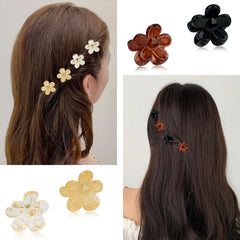 ANBALA 20-piece color spread in clear champagne brown black, versatile matching benefit