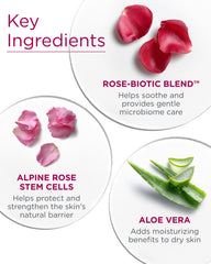 Andalou Naturals botanical flatlay with rose and gardenia indicating natural antioxidant support