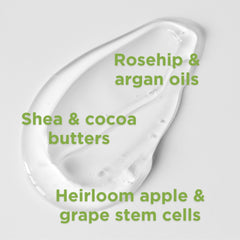 Andalou Naturals lotion texture on hand showing lightweight, fast-absorbing hydration
