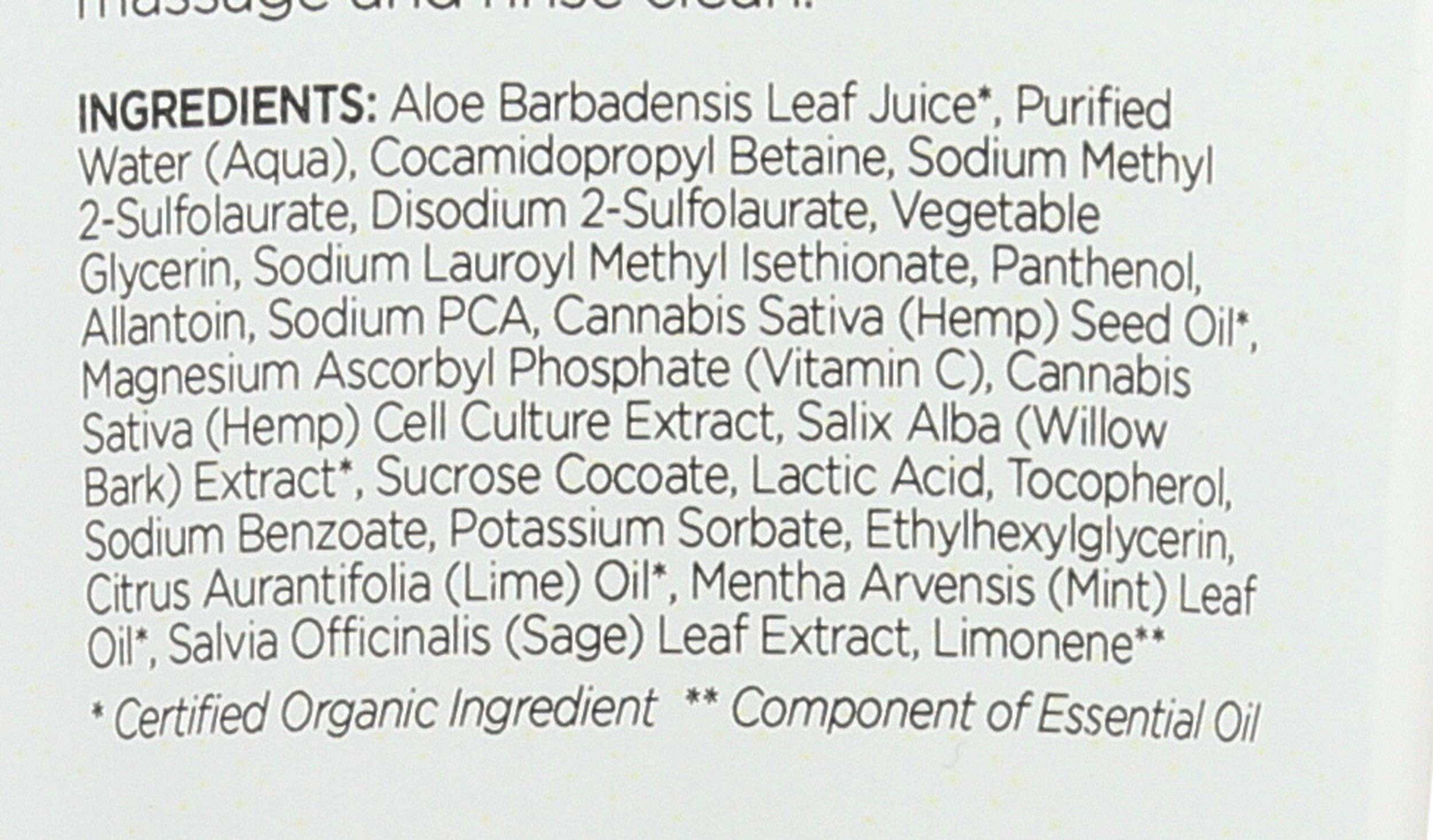 Andalou Naturals hemp seed closeup highlighting antioxidant ingredient