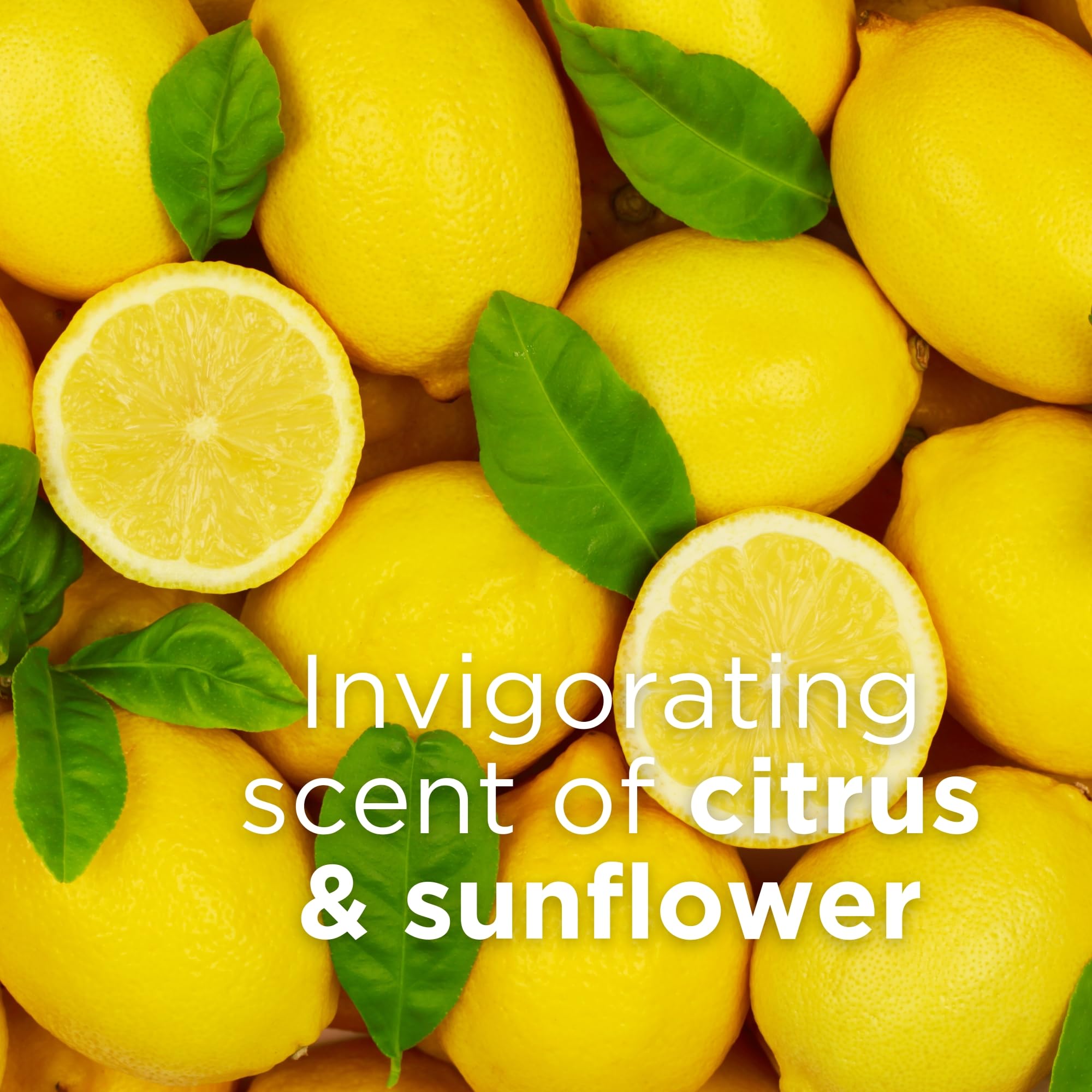 Andalou Naturals sunflower and apricot oils depiction to highlight nourishing botanicals