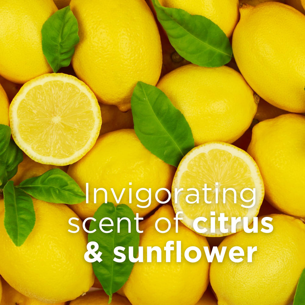 Andalou Naturals sunflower and apricot oils depiction to highlight nourishing botanicals