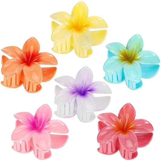 ANEESAA front view of six colorful flower claw clips showing variety and style