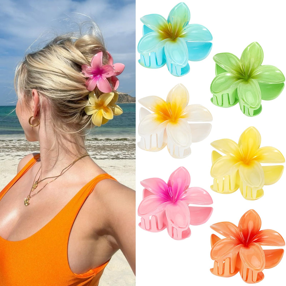 ANEESAA front view of six-pack flower clips showing colors and packaging, quick styling benefit
