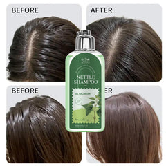 ANNAS nettle shampoo 200ml next to common items shows compact travel-friendly size