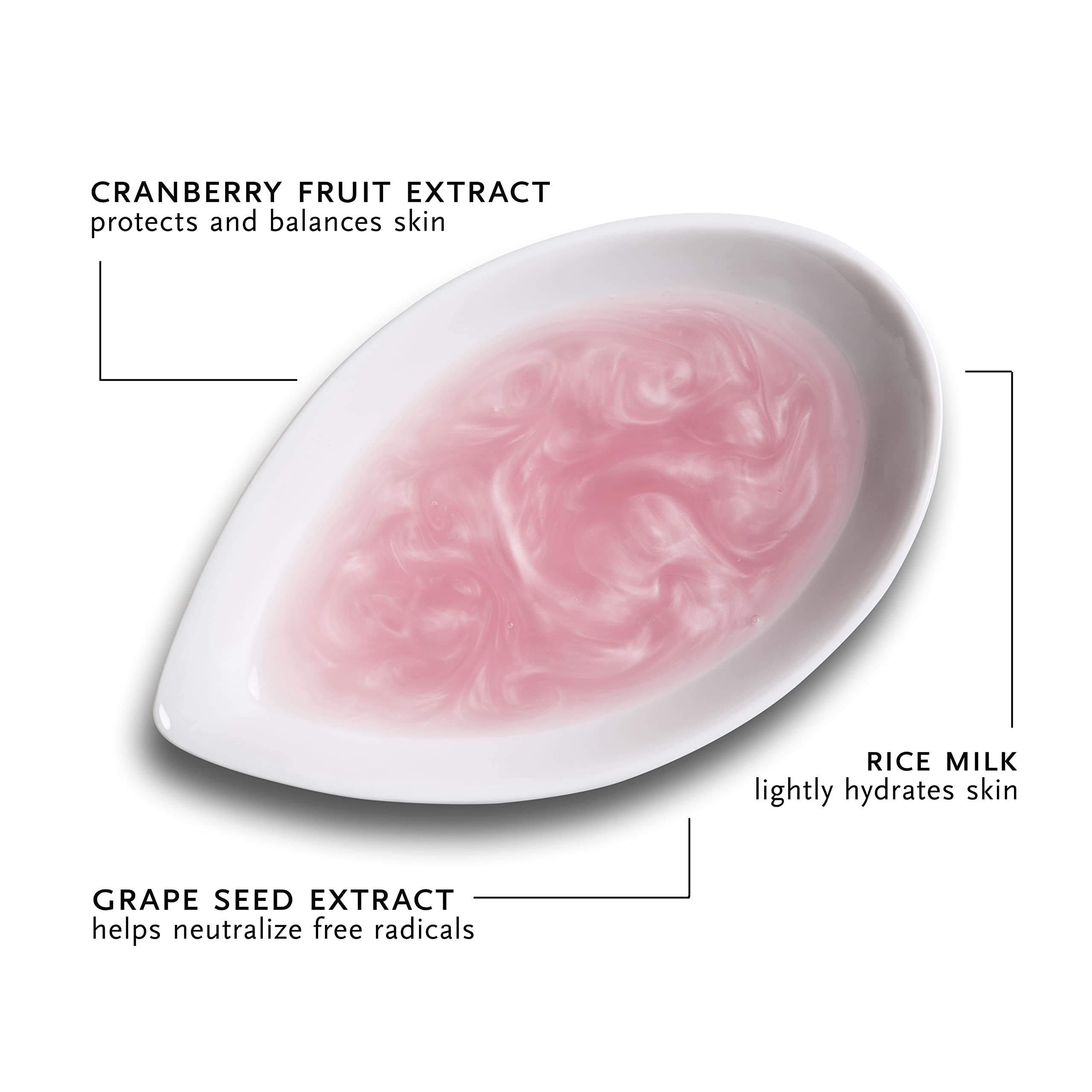 ARCONA cranberry and rice extract display emphasizing natural brightening benefits