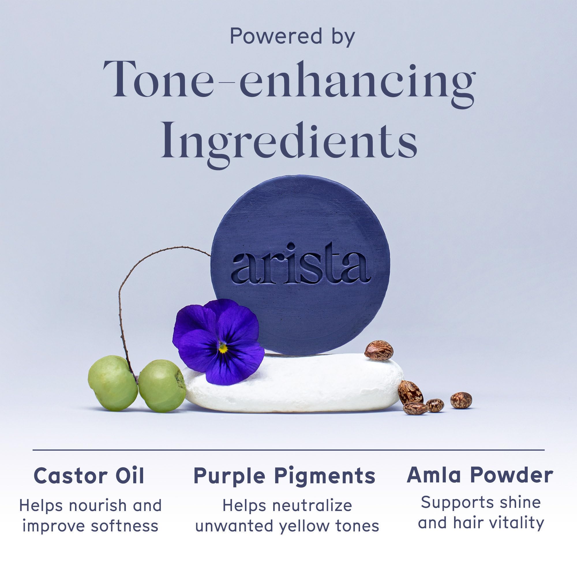 Arista bar beside amla fruit powder to show natural botanical toning and nourishment