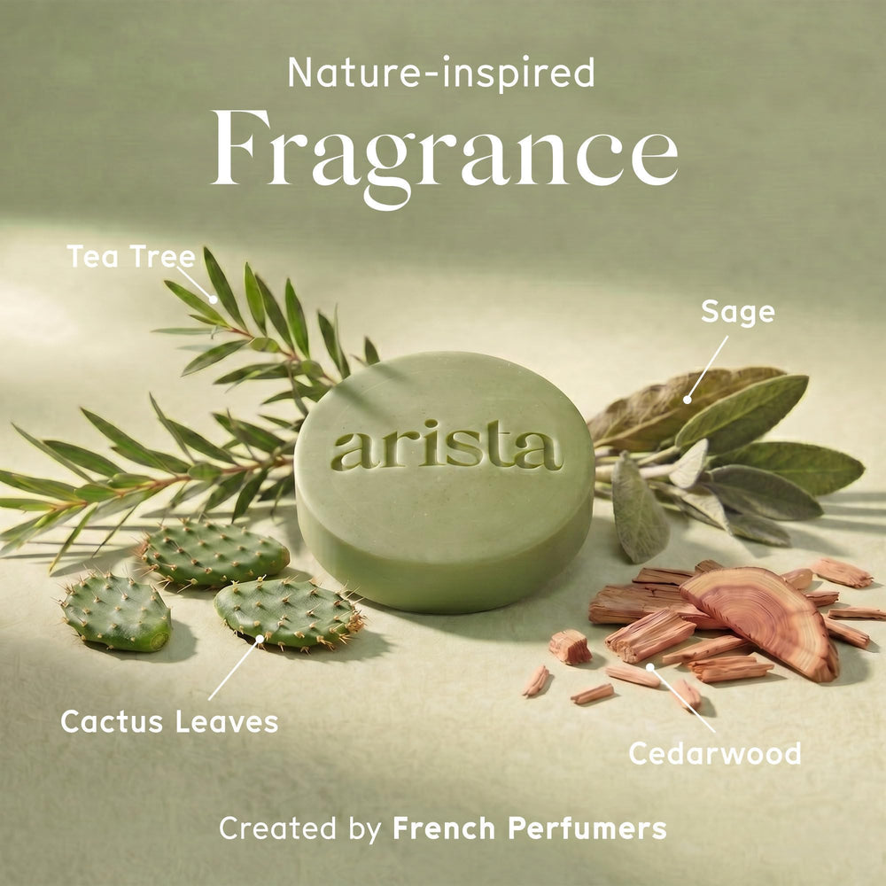 Arista ayurveda tea tree and arnica ingredients arranged to show natural benefits