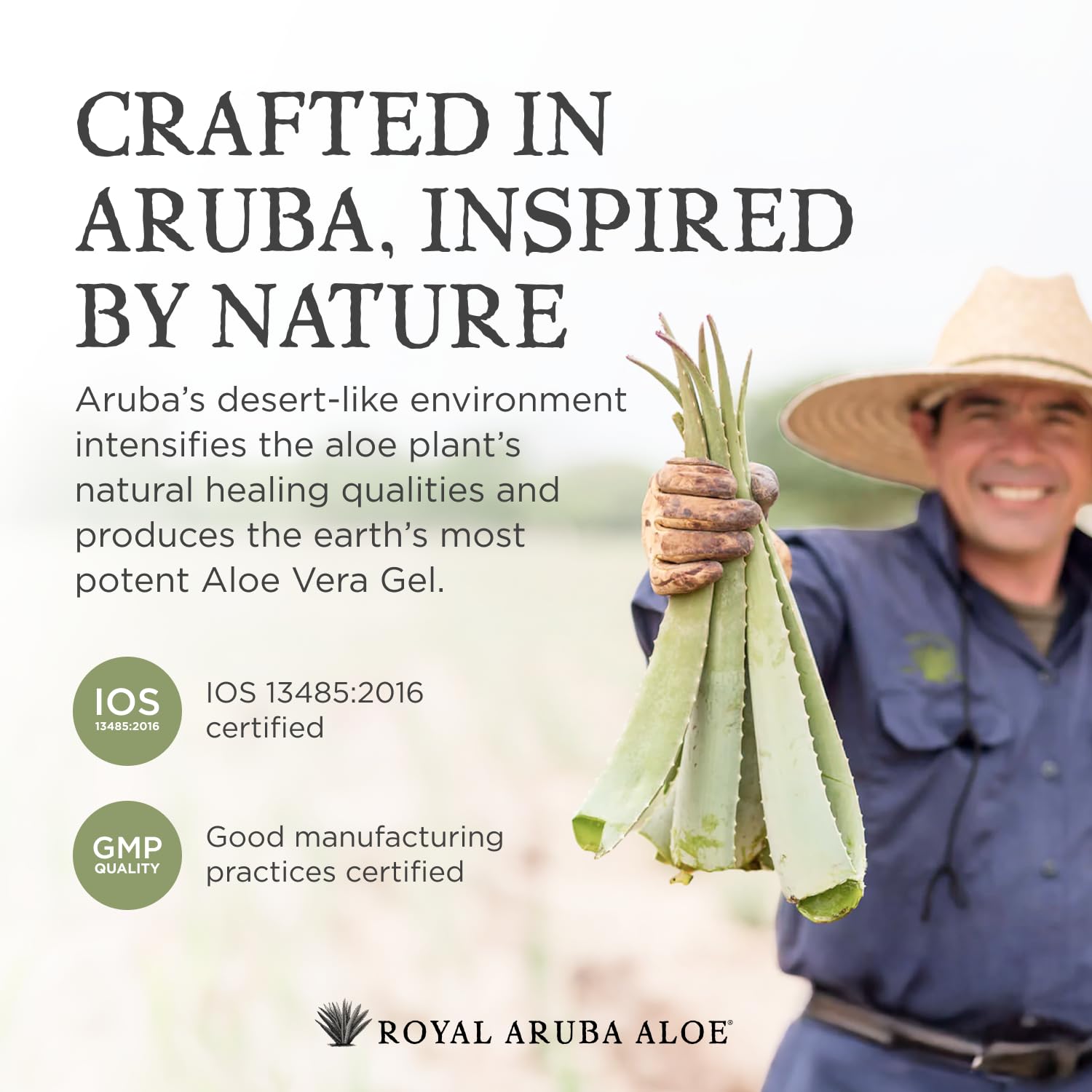 Aruba Aloe ingredients with aloe leaves and jar highlighting natural aloe sourcing