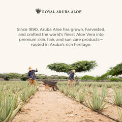 Aruba Aloe label close-up showing brand details and ingredient clarity benefit