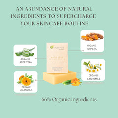 Aspen Kay Naturals ingredients flatlay with organic oils and herbs, highlighting natural formulation benefit