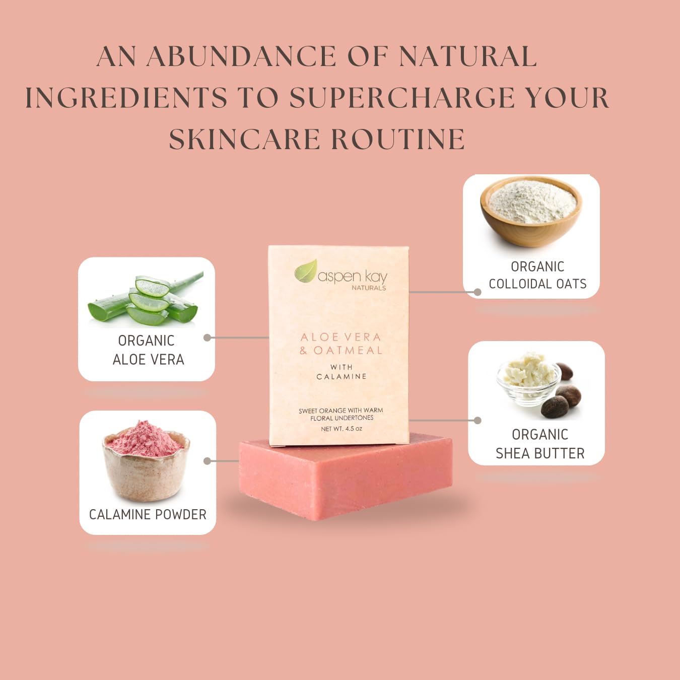 Aspen Kay Naturals arranged ingredients display showing organic oils and botanicals