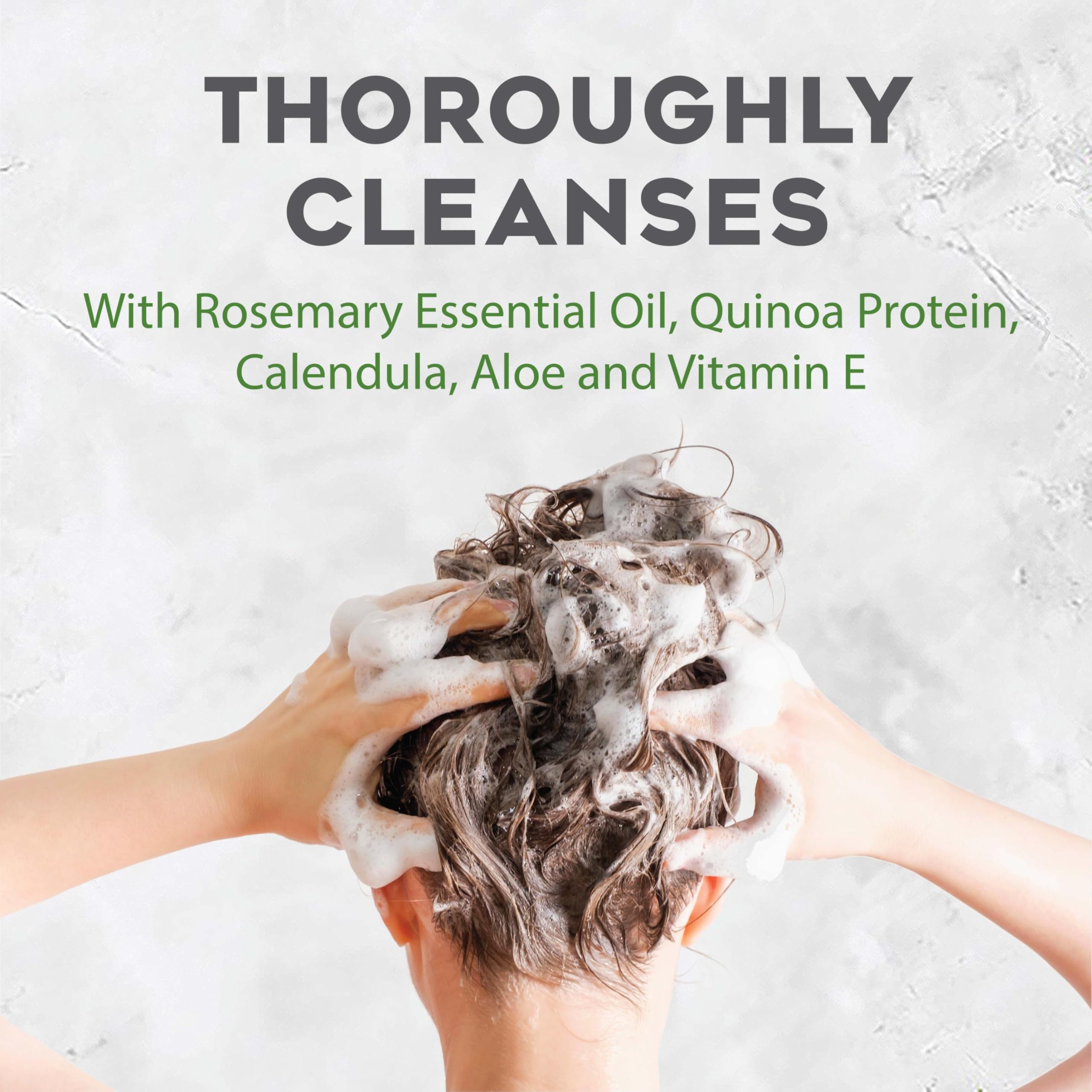 Close-up rosemary and calendula botanicals representing Avalon Organics ingredients