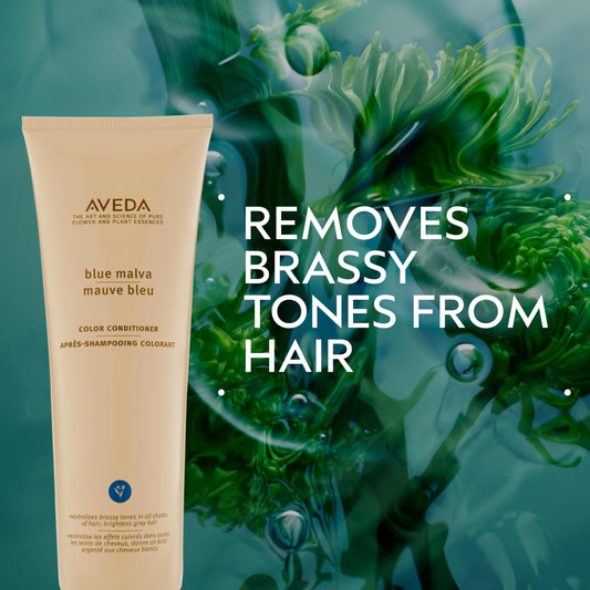Aveda Blue Malva conditioner texture poured onto hand highlighting creamy consistency and hydration