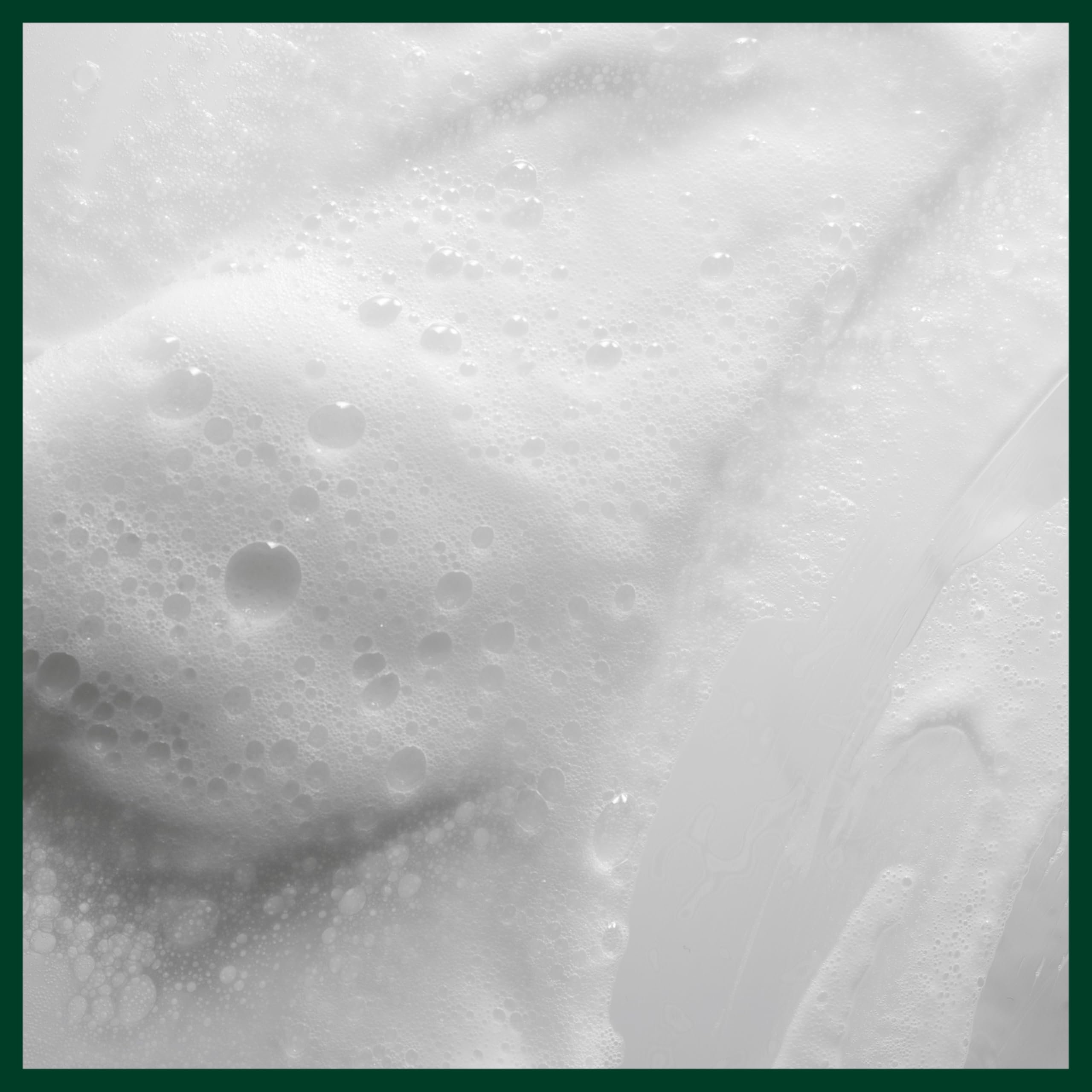 Close view of Aveda ingredient panel emphasizing naturally derived formulation benefit