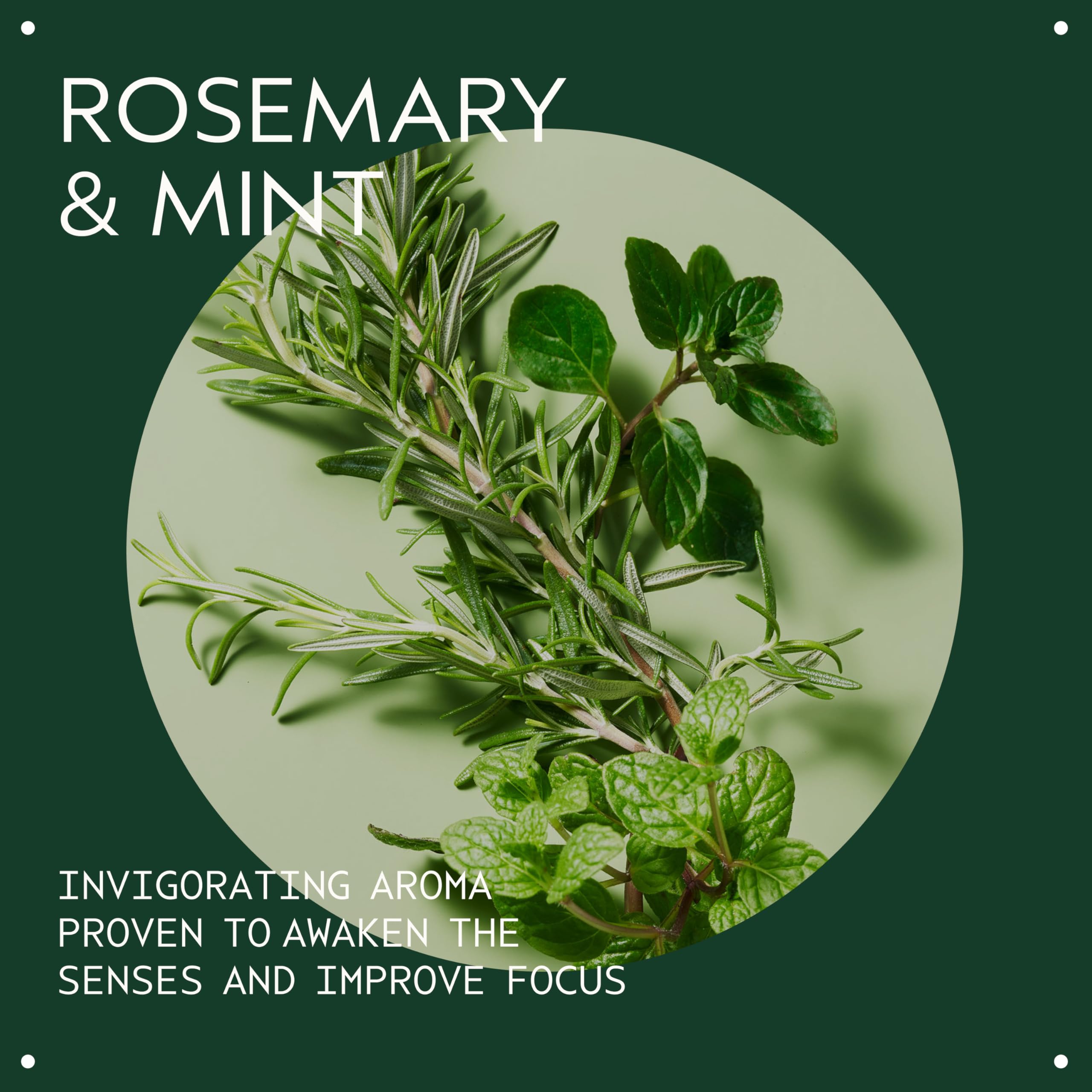 Close-up of Aveda label highlighting rosemary mint scent and natural ingredient focus