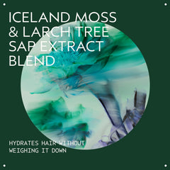 Aveda Sap Moss ingredients with Iceland moss highlighting plant-based hydration