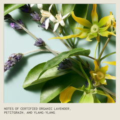 Aveda shampure gift ready packaging presenting a thoughtful present