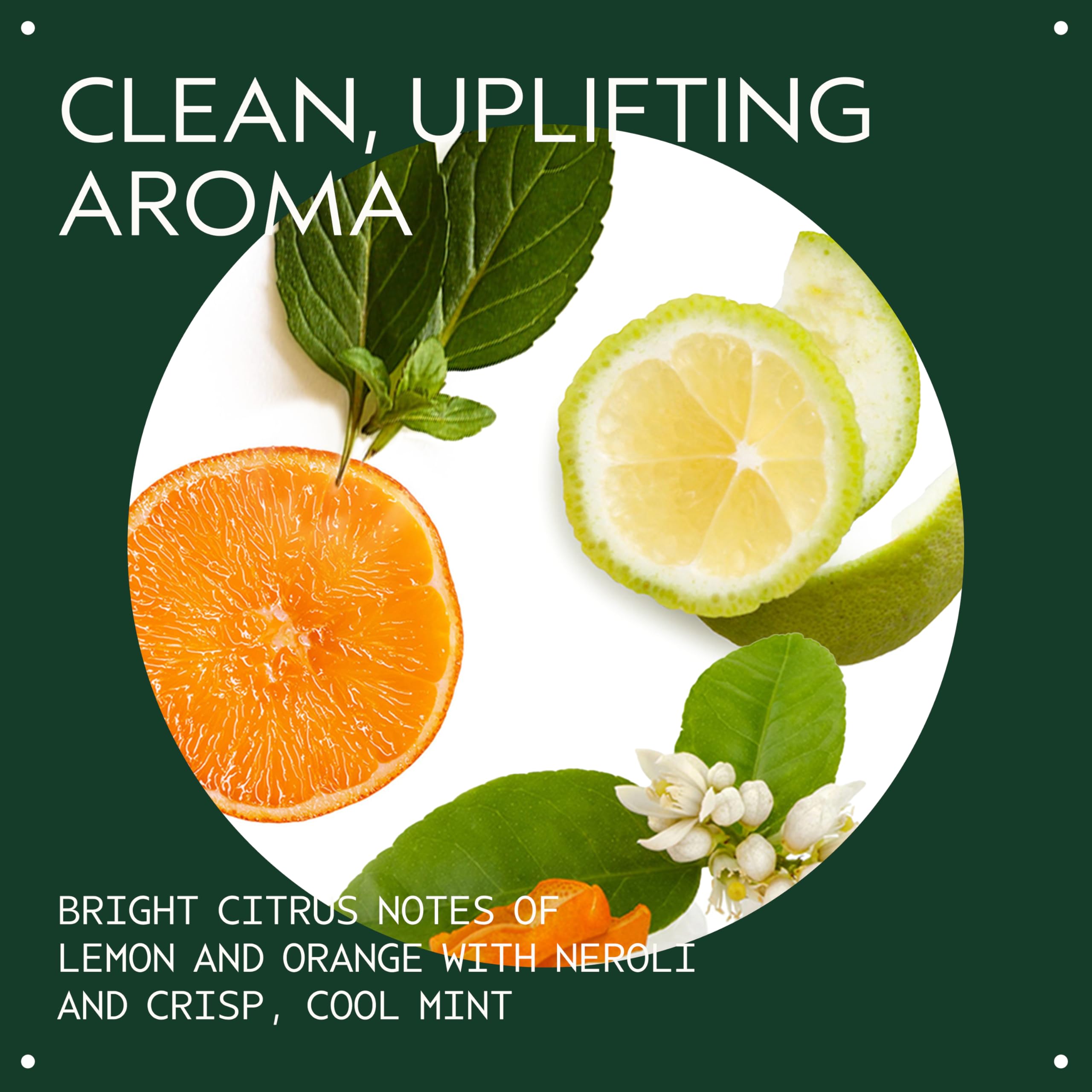 Aveda creamy conditioner texture close-up showing lightweight hydration