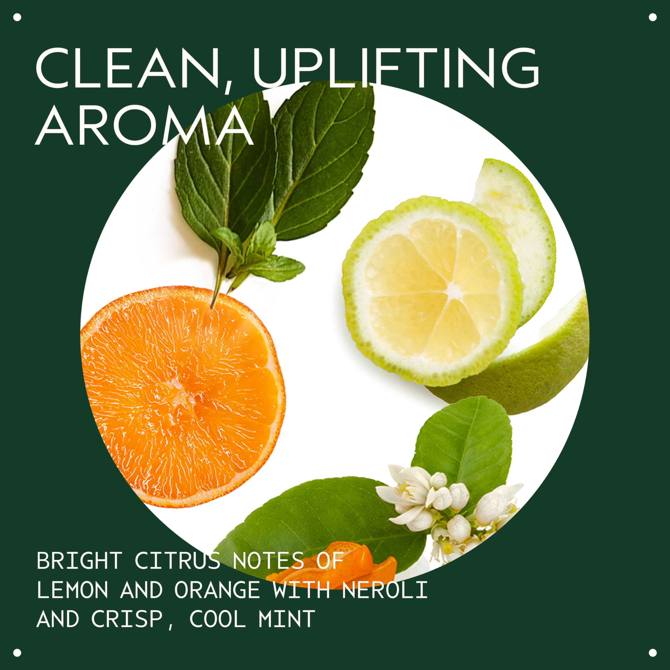 Close-up of Aveda lather texture demonstrating gentle cleaning action and soft foam