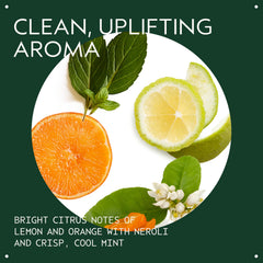 Close-up of Aveda lather texture demonstrating gentle cleaning action and soft foam