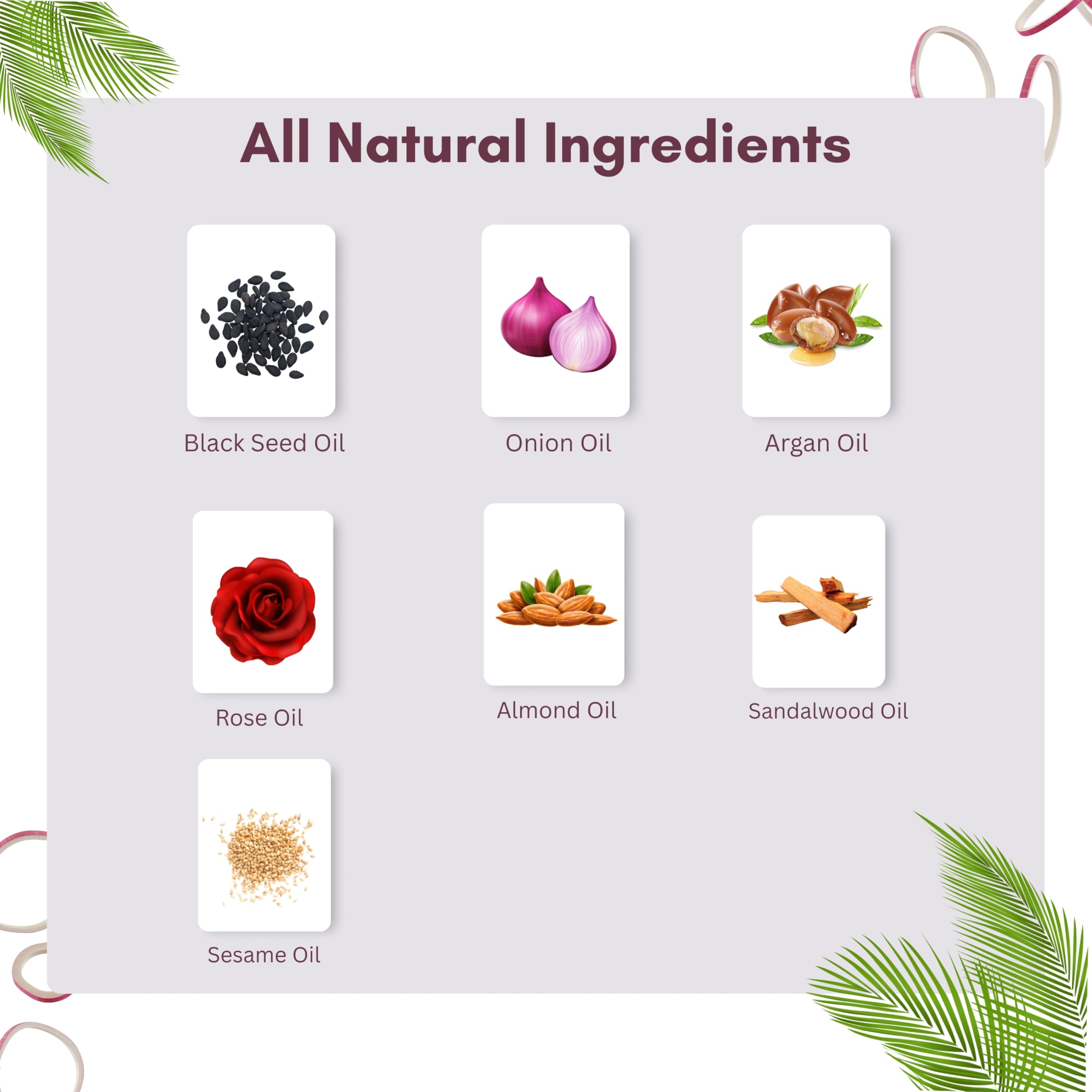 AYURVEDASHREE argan seed close-up showing nourishing fatty acids