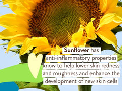 Babo Botanicals continuous spray nozzle detail for even coverage