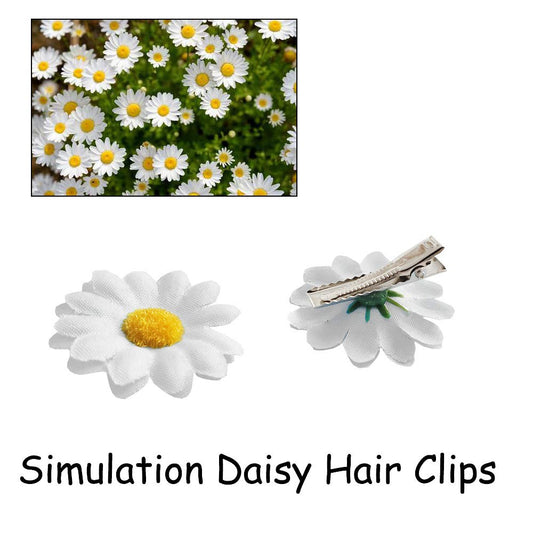 Backgarden close-up of daisy top texture highlighting realistic petals