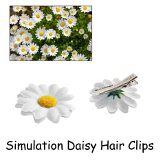 Backgarden close-up of daisy top texture highlighting realistic petals