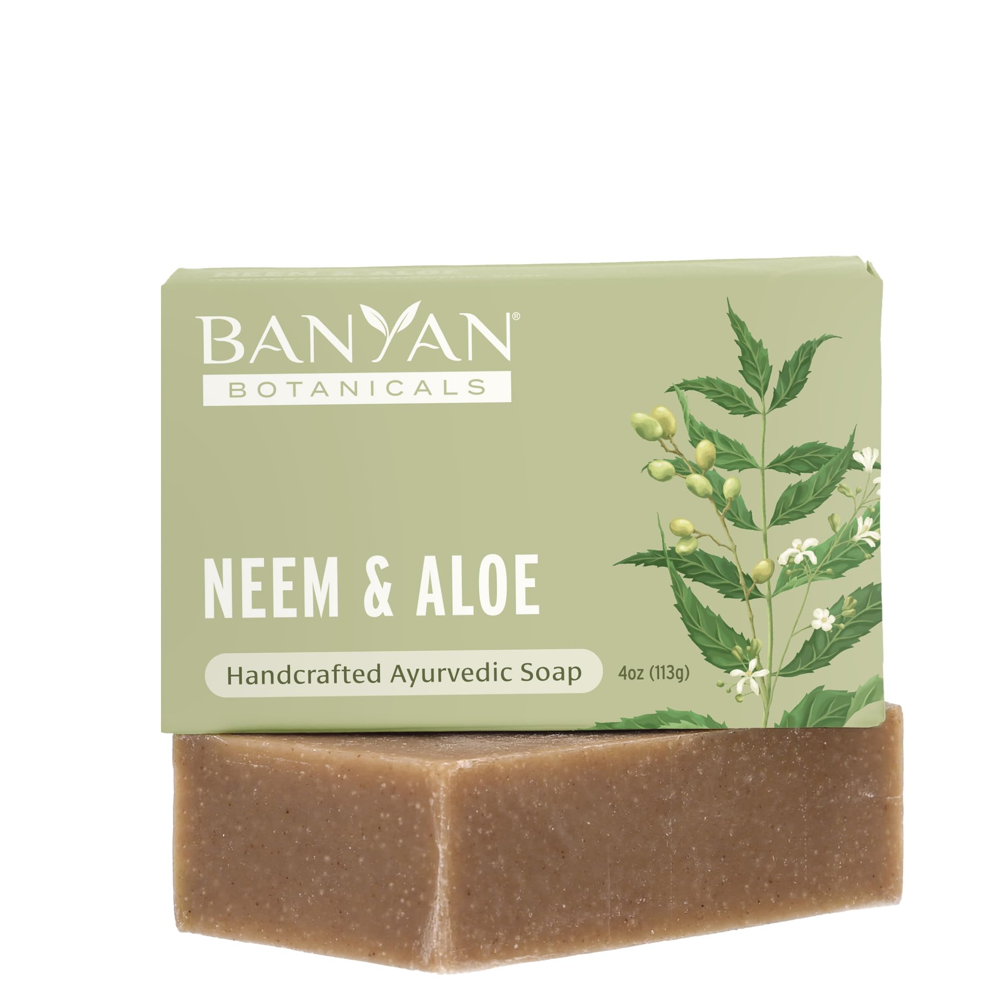 Banyan Botanicals front packaging showing organic neem and aloe benefits
