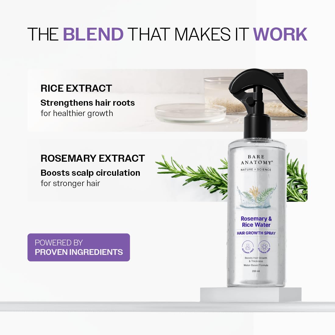 Bare Anatomy spray applied to scalp for targeted nourishment and absorption