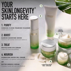 bareMinerals close-up of ceramide graphic highlighting barrier support