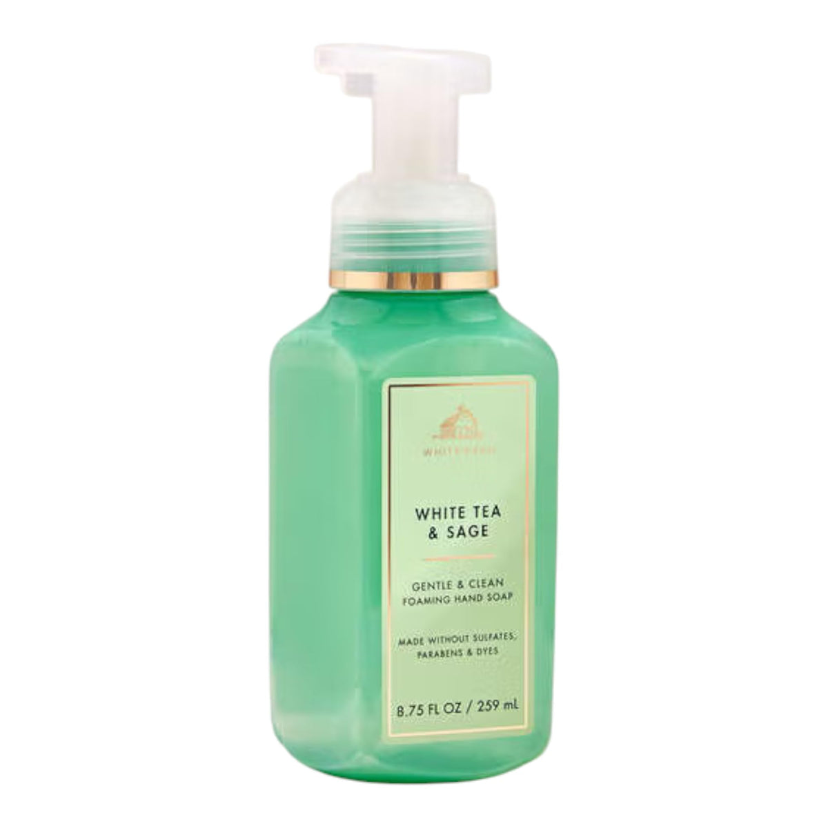 Bath & Body Works bottle front view showing label and convenient pump, gentle cleansing