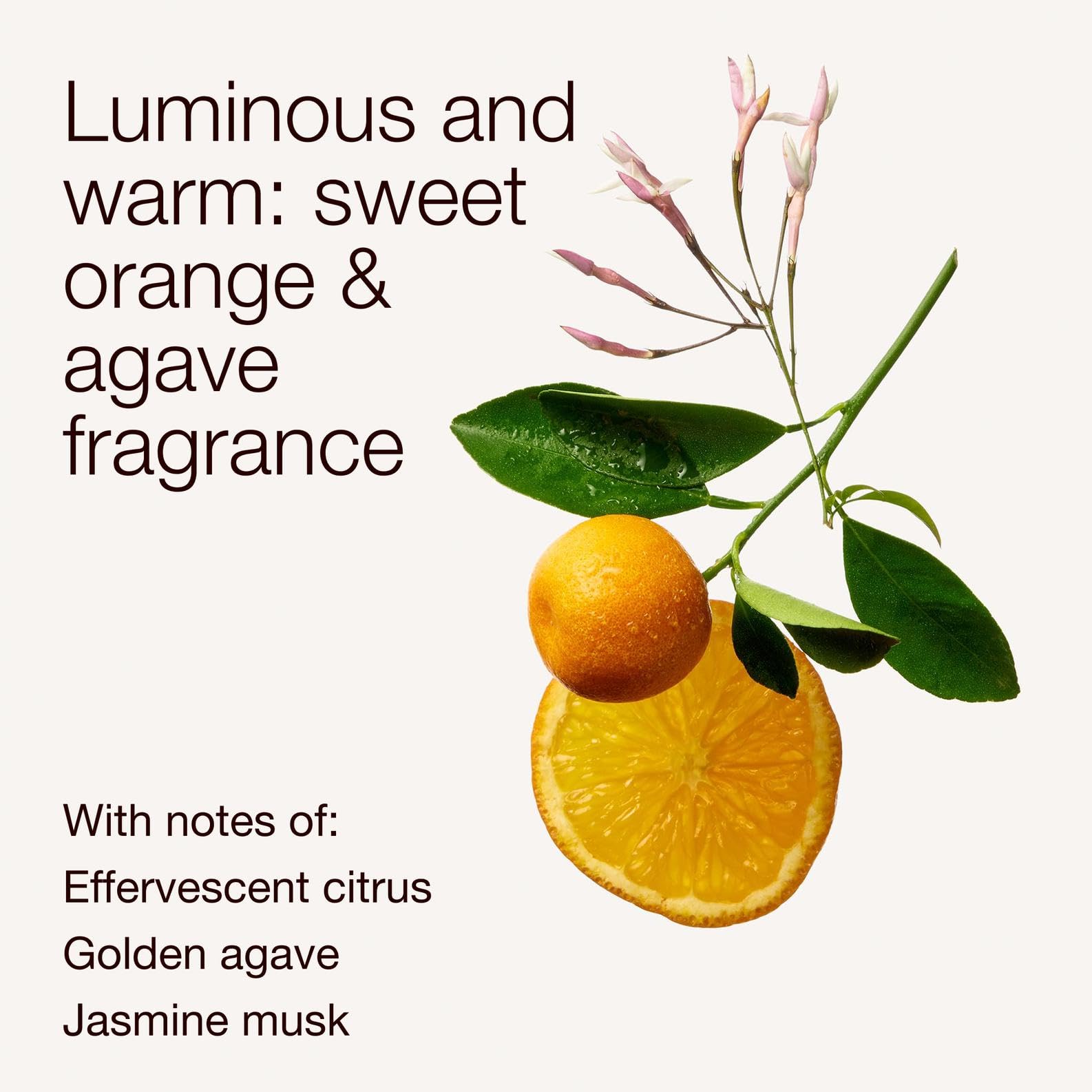Bath & Body Works foam on palm showing airy texture and gentle cleanse benefit non-drying feel