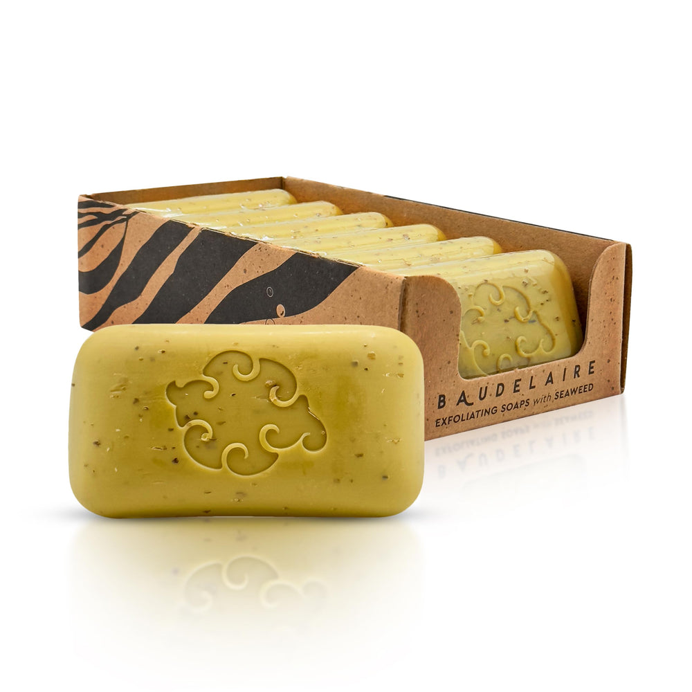 Baudelaire front packaging showing six wrapped sea loofa bars for convenience