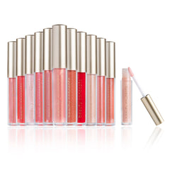 B.C BEAUTY CONCEPTS front packaging showcasing 12 glosses and gift box for easy gifting