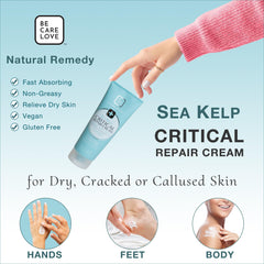 BCL SPA arnica and sea kelp ingredients staged to show botanical soothing benefits