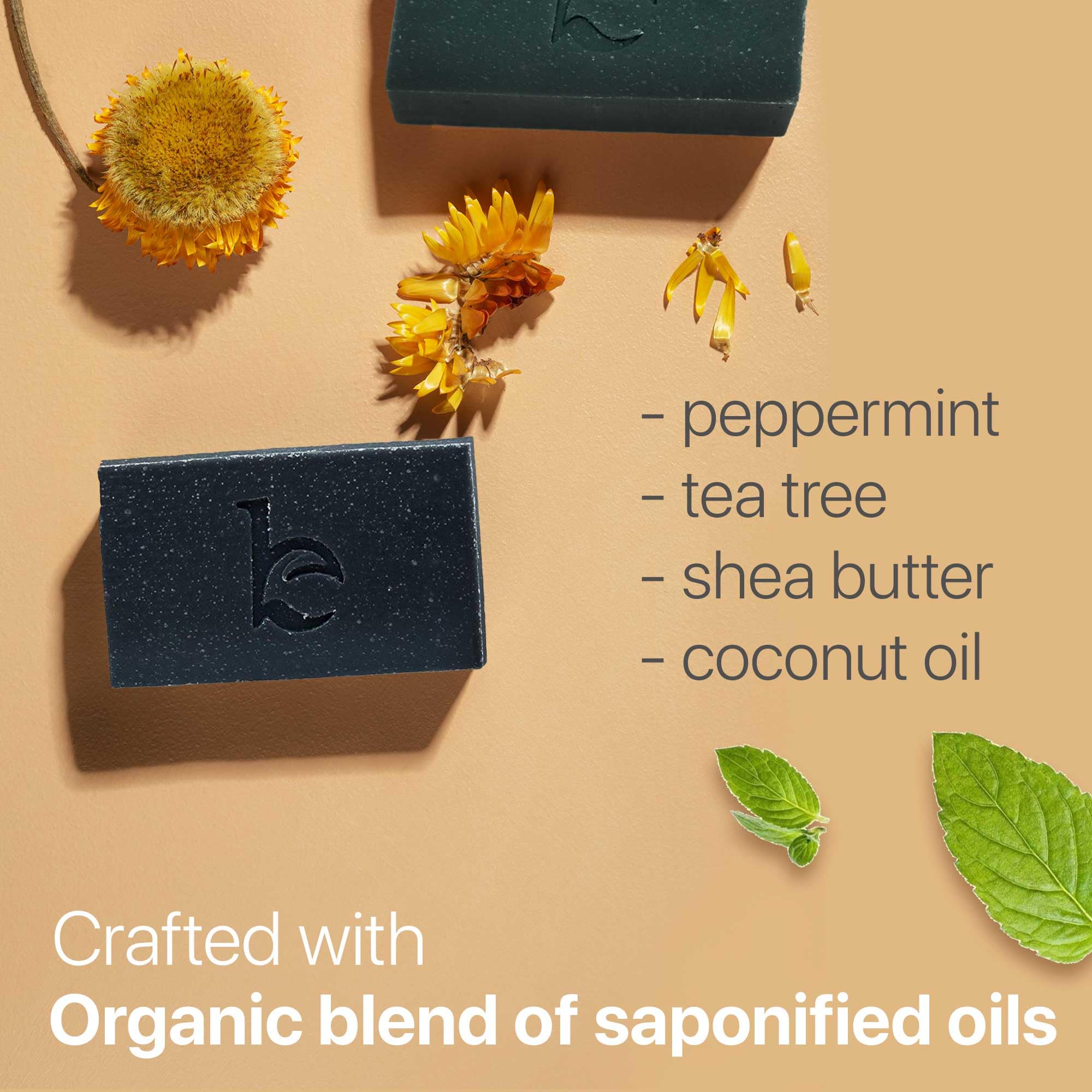 Beauty by Earth ingredients flatlay with peppermint, tea tree, shea butter