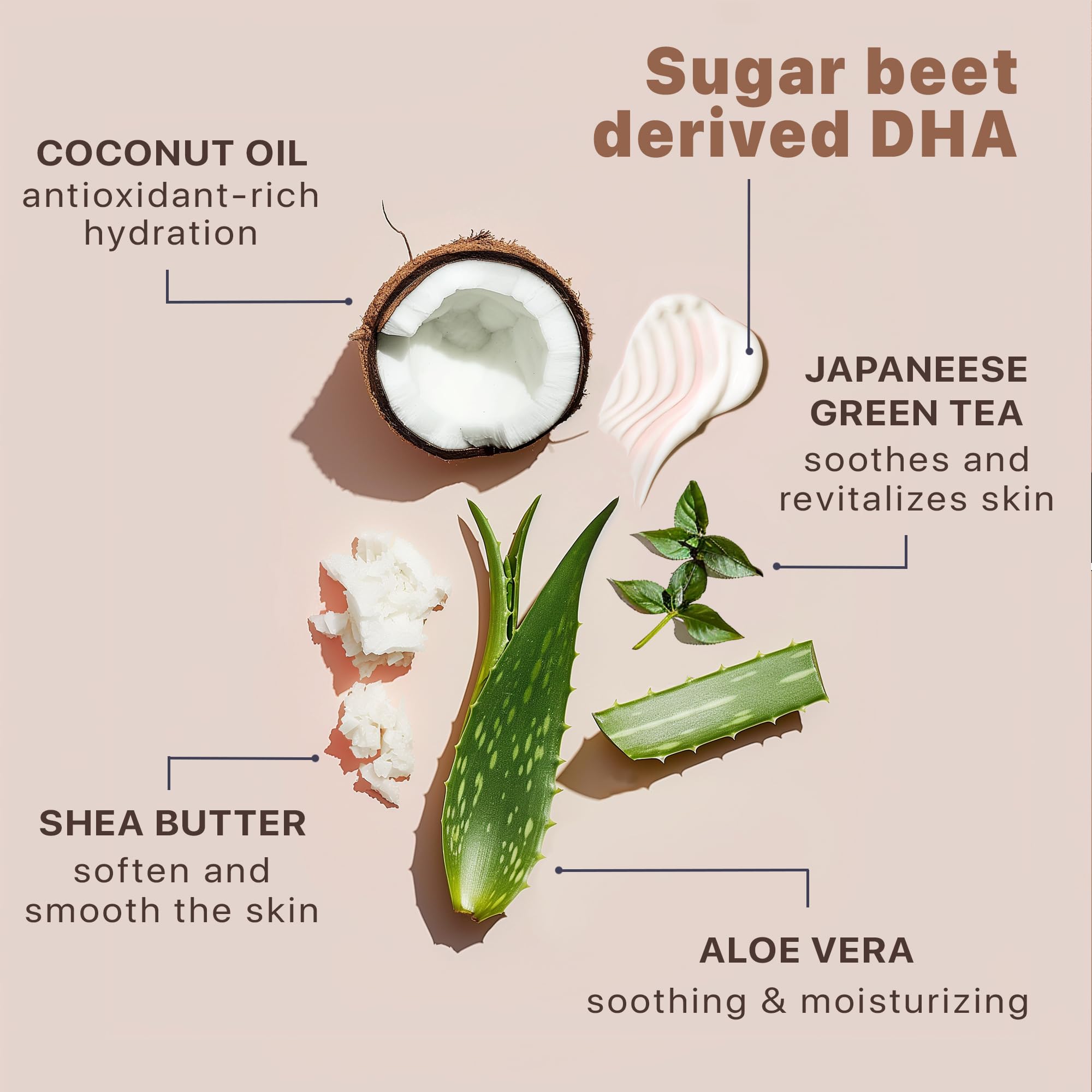Beauty by Earth ingredients label highlighting organic aloe and shea butter