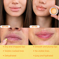 Bee Balm with honey and propolis highlights natural ingredients providing nourishment and repair