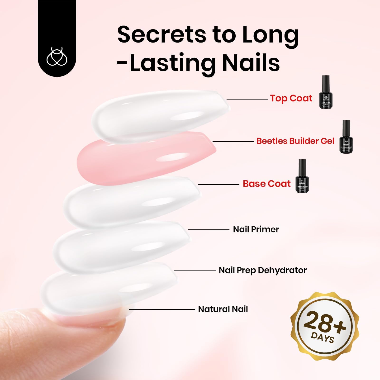 beetles builder gel base and top coats arranged to show system compatibility