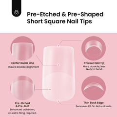 beetles center guide line on tip aiding precise alignment and balanced placement