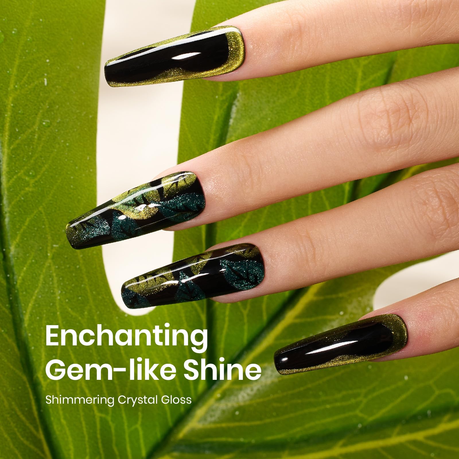 Beetles close-up of cured cat eye stripe texture highlighting reflective finish