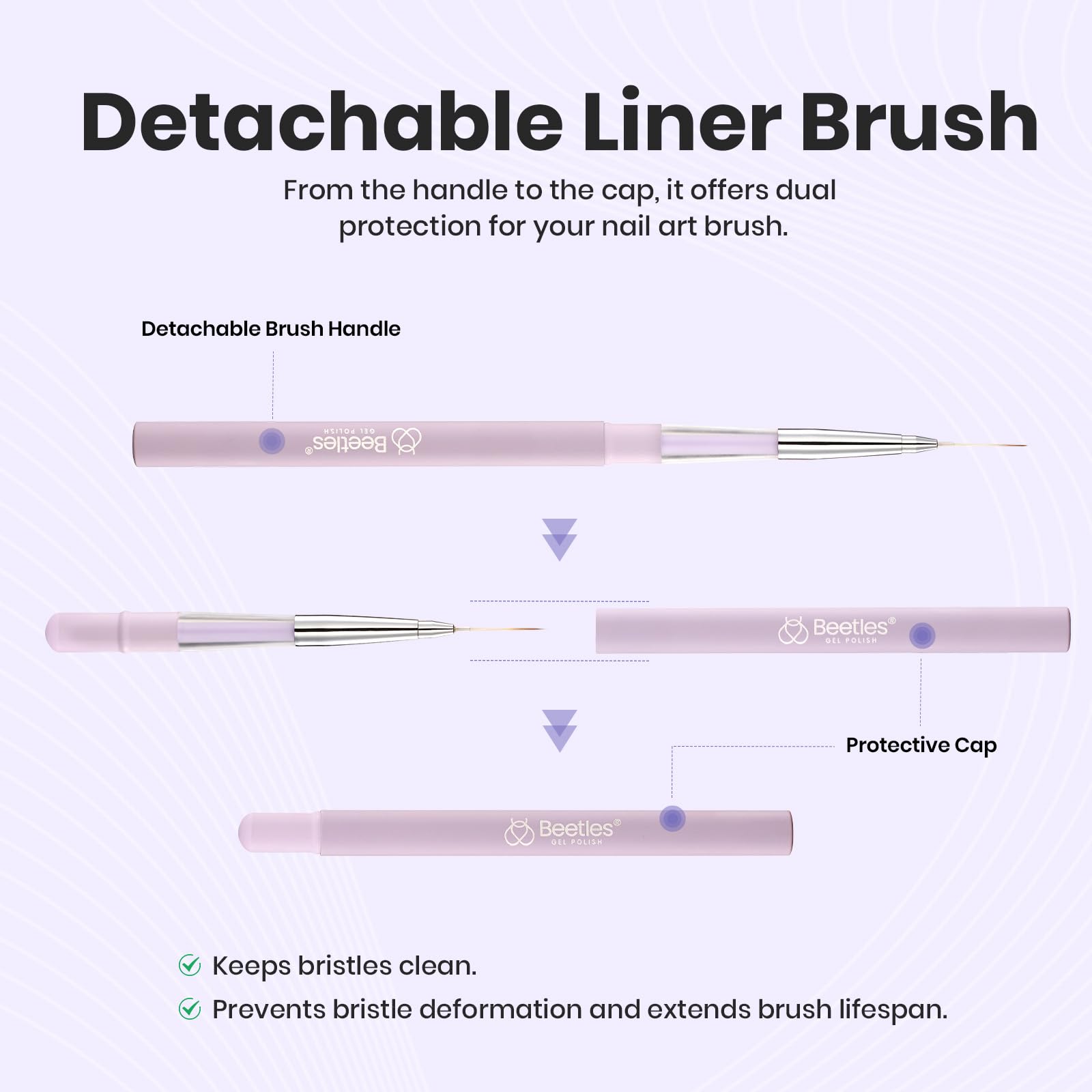 Beetles brush beside ruler showing 15mm length for accurate stroke control